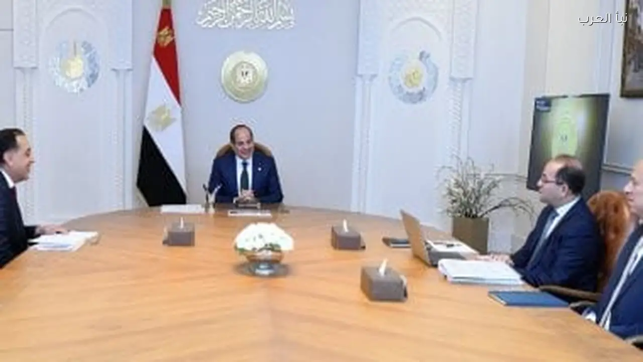 وزير المالية يقدم للرئيس السيسي آخر مستجدات مفاوضات صندوق النقد