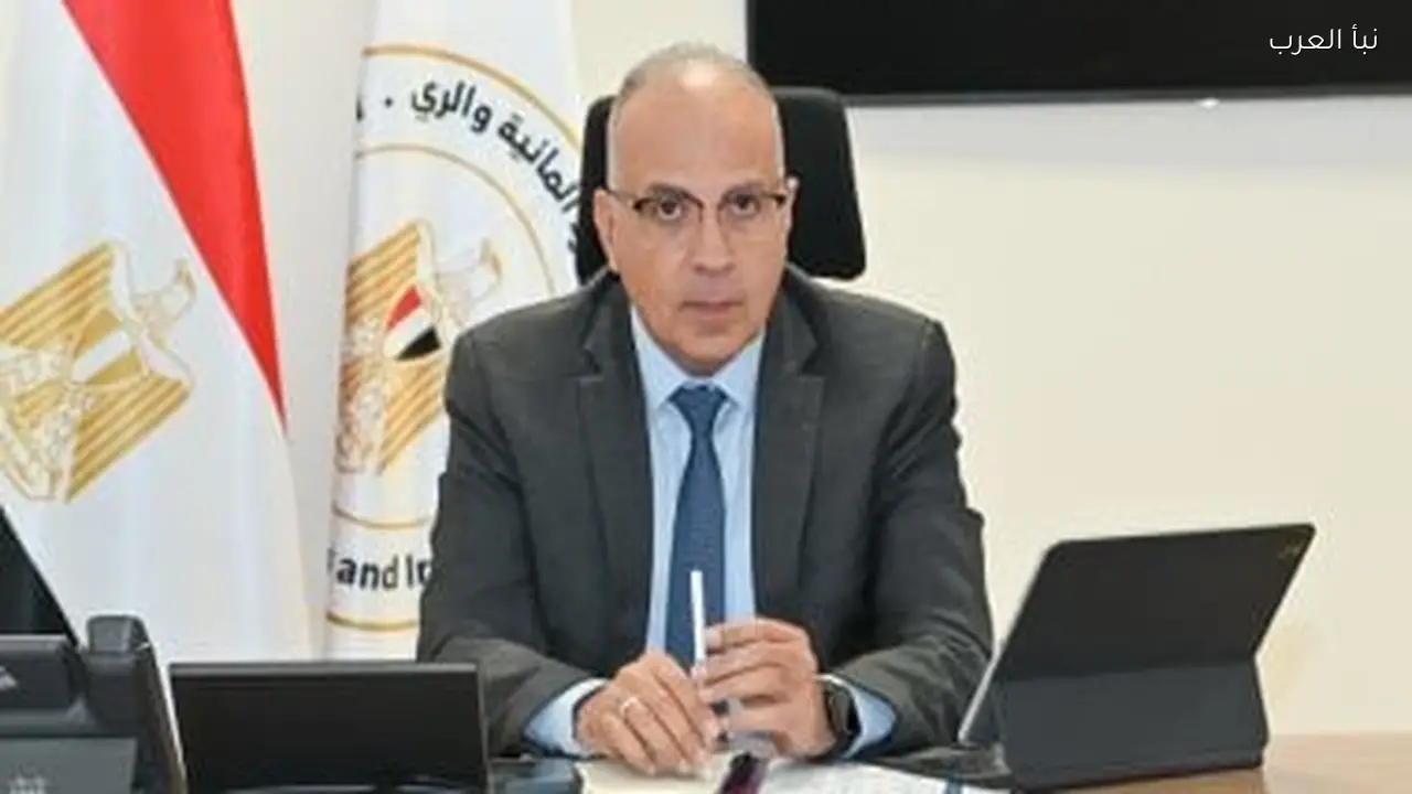 وزيرا الخارجية والري يسلمان رسالة من الرئيس السيسي لرئيس كينيا