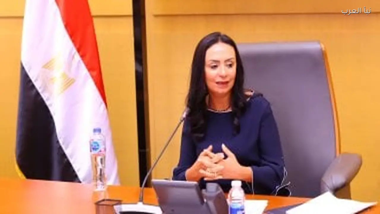 وزيرة التضامن تتابع إدخال المساعدات إلى غزة من شمال سيناء