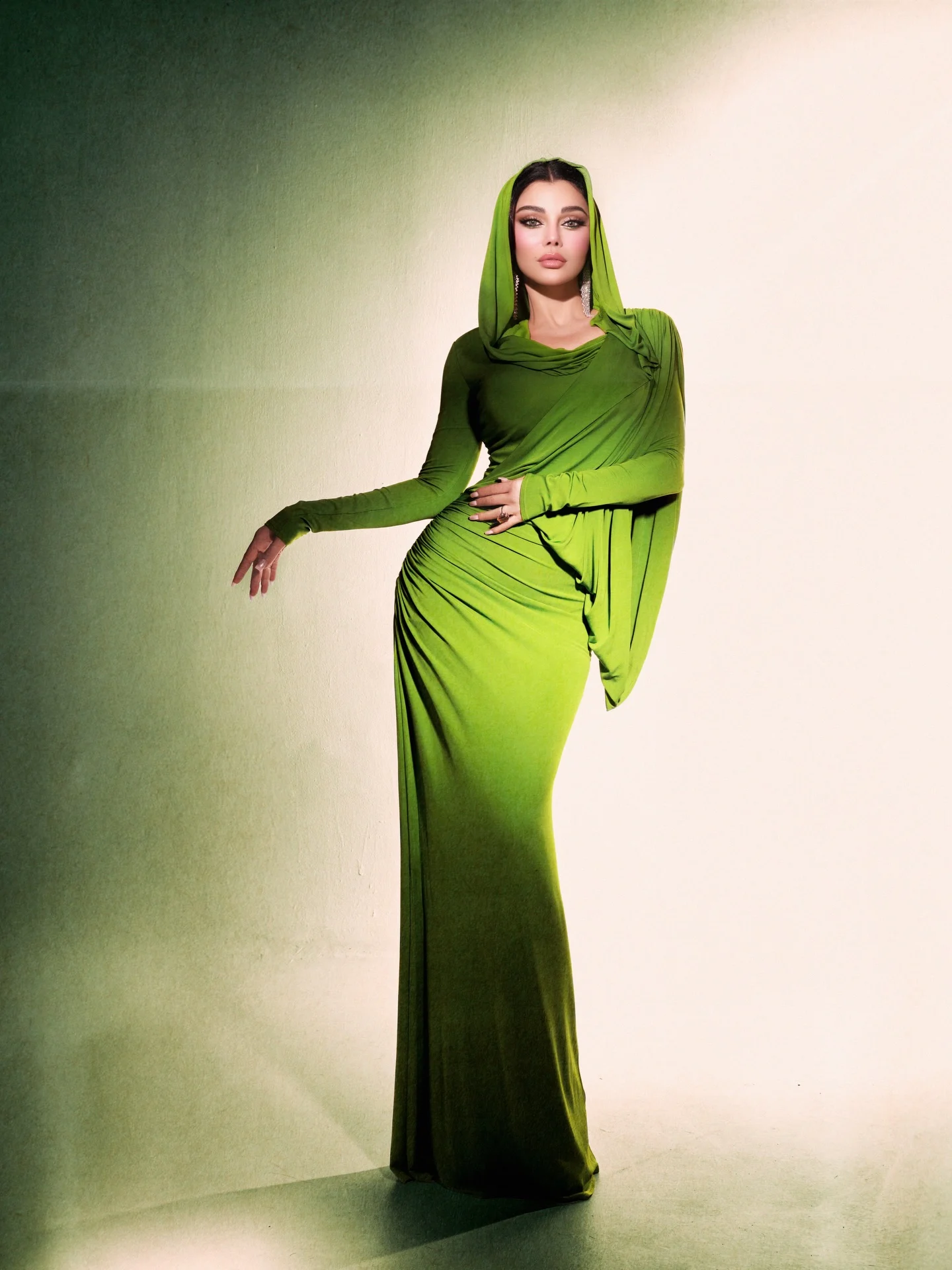 النجمة هيفاء وهبي النجمة هيفاء وهبي