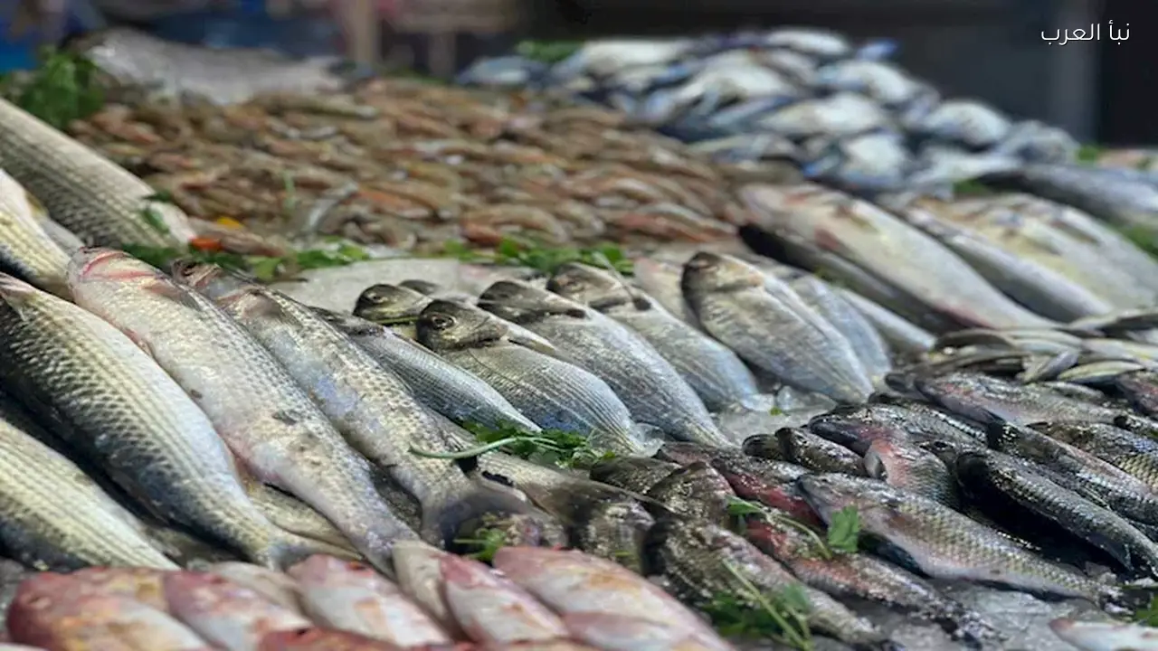 أسعار الأسماك والمأكولات البحرية اليوم في سوق العبور