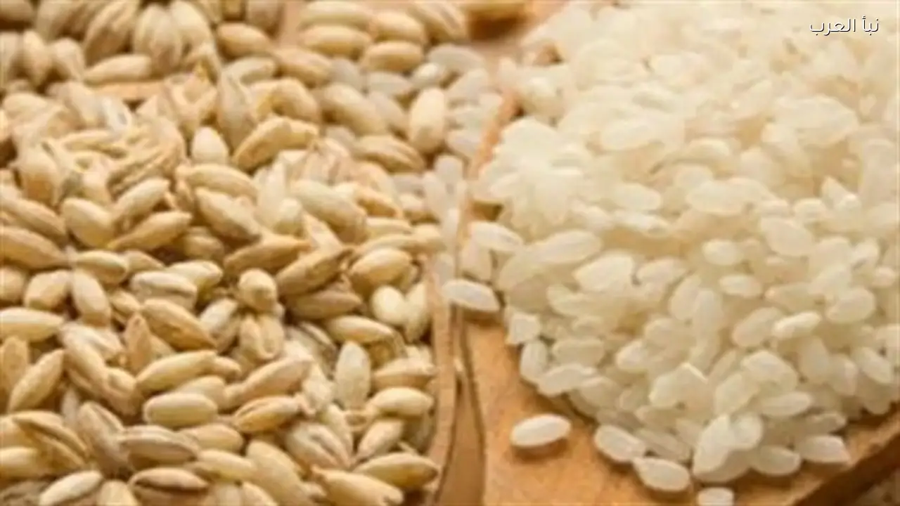 أحكام زكاة الفطر 2026: مقدارها وإمكانية إخراجها نقدًا