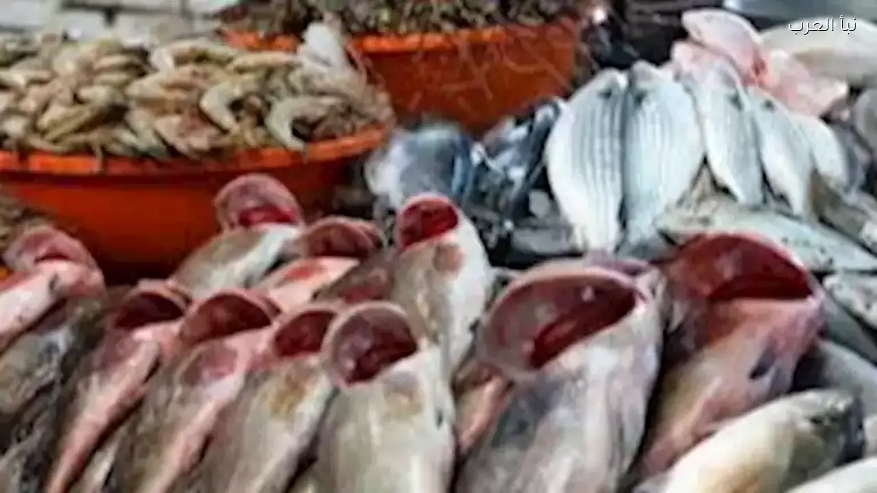 أسعار الأسماك اليوم: 65 جنيها لكيلو البلطي في سوق العبور