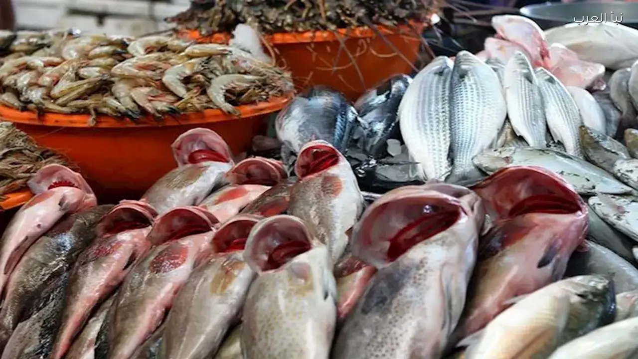 أسعار الأسماك اليوم في سوق العبور.. ارتفاع البلطي