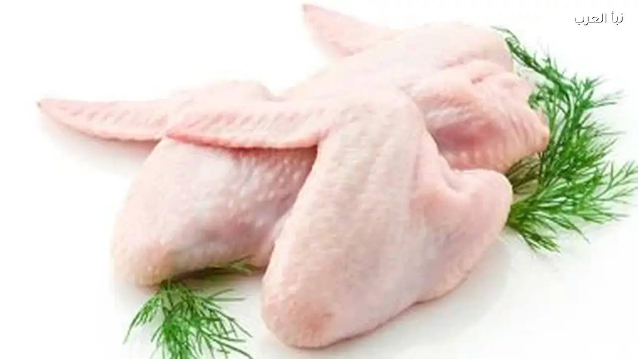 أسعار الدواجن اليوم: هدوء حذر في الأسواق