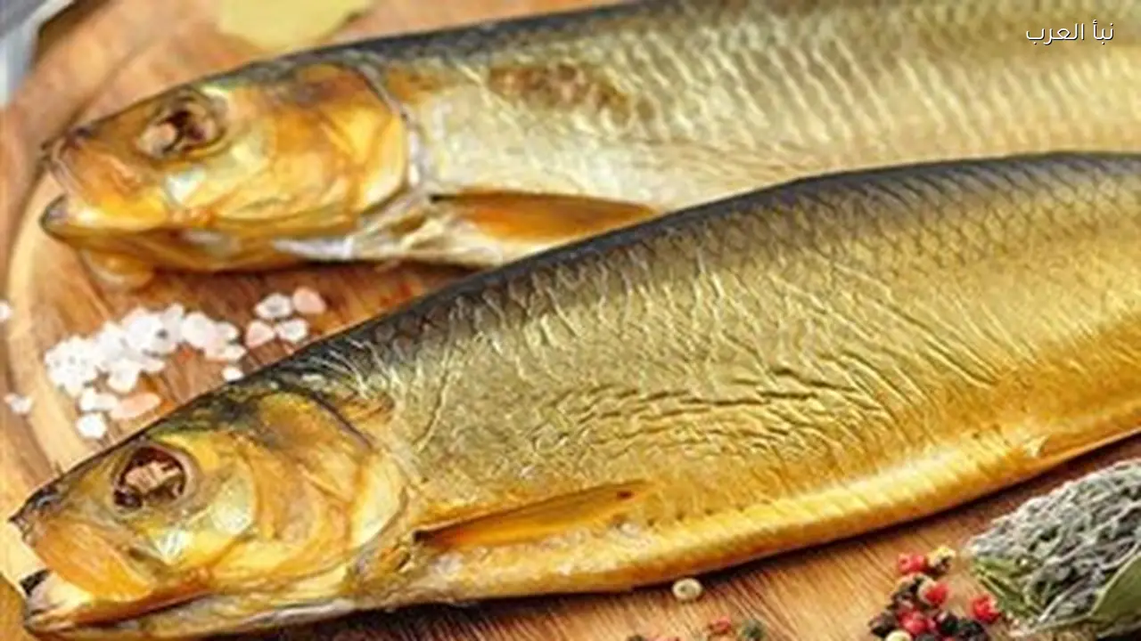 أسعار الرنجة ترتفع اليوم بشكل غير مسبوق