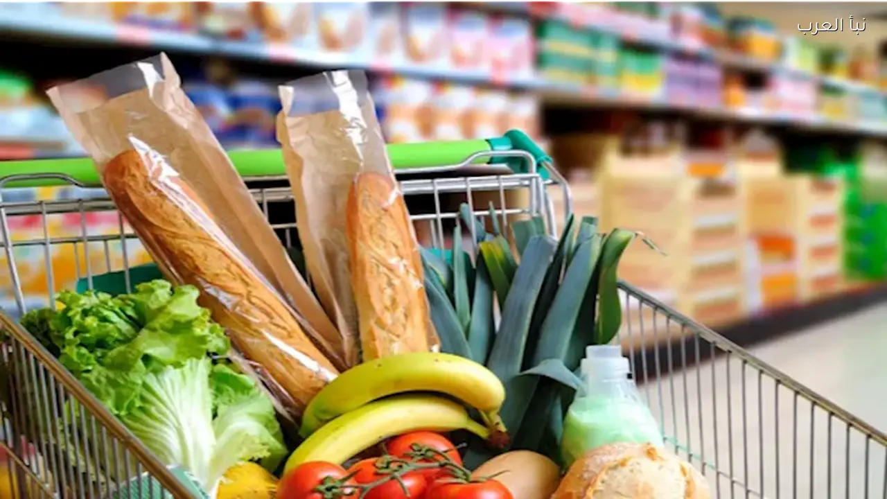 أسعار الزيت والجبن والدواجن تنخفض اليوم بالأسواق