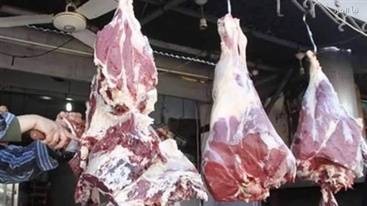 أسعار اللحوم اليوم في محال الجزارة.. تحديثات جديدة