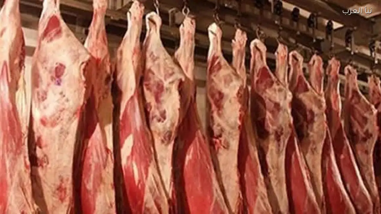 أسعار اللحوم والدواجن والزيت تنخفض اليوم في الأسواق
