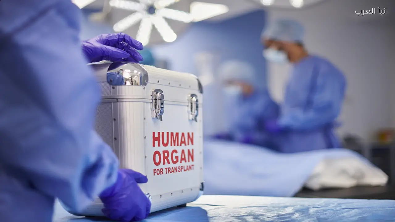 إنجاز صيني قد يغير مستقبل زراعة الأعضاء بشكل جذري
