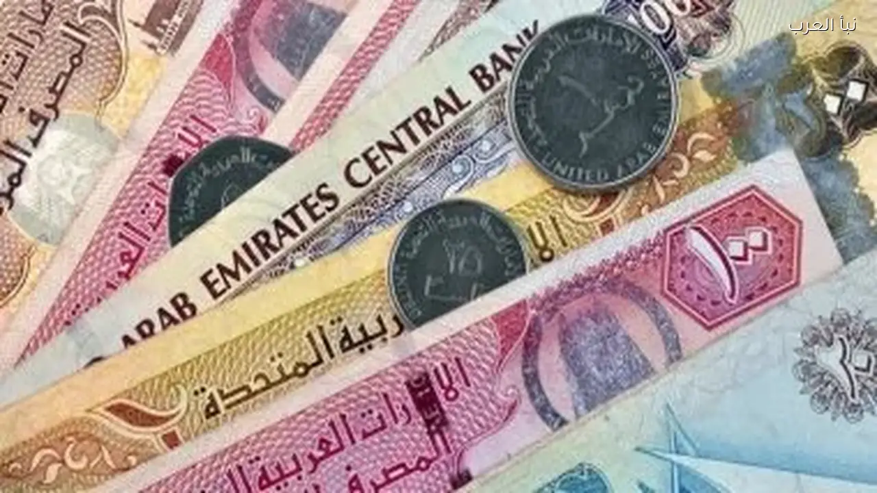 ارتفاع سعر الدرهم الإماراتي اليوم أمام الجنيه بسبب الدولار