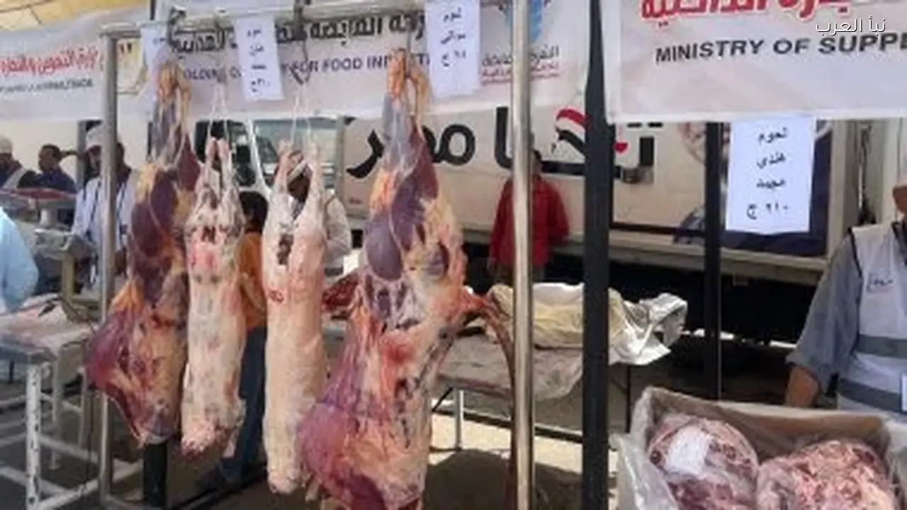 استقرار أسعار البروتين في الأسواق اليوم مع مبادرات حكومية جديدة