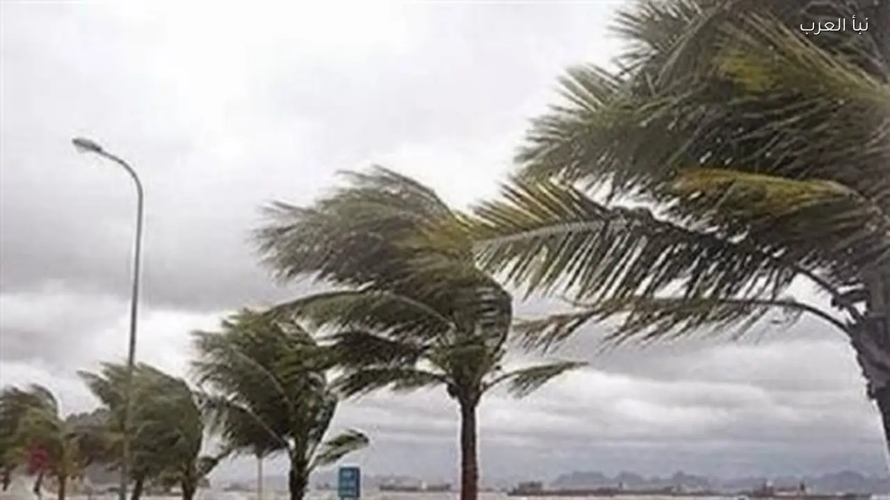 اضطراب الملاحة البحرية في الإسكندرية بسبب رياح قوية تصل لـ 50 كم/س