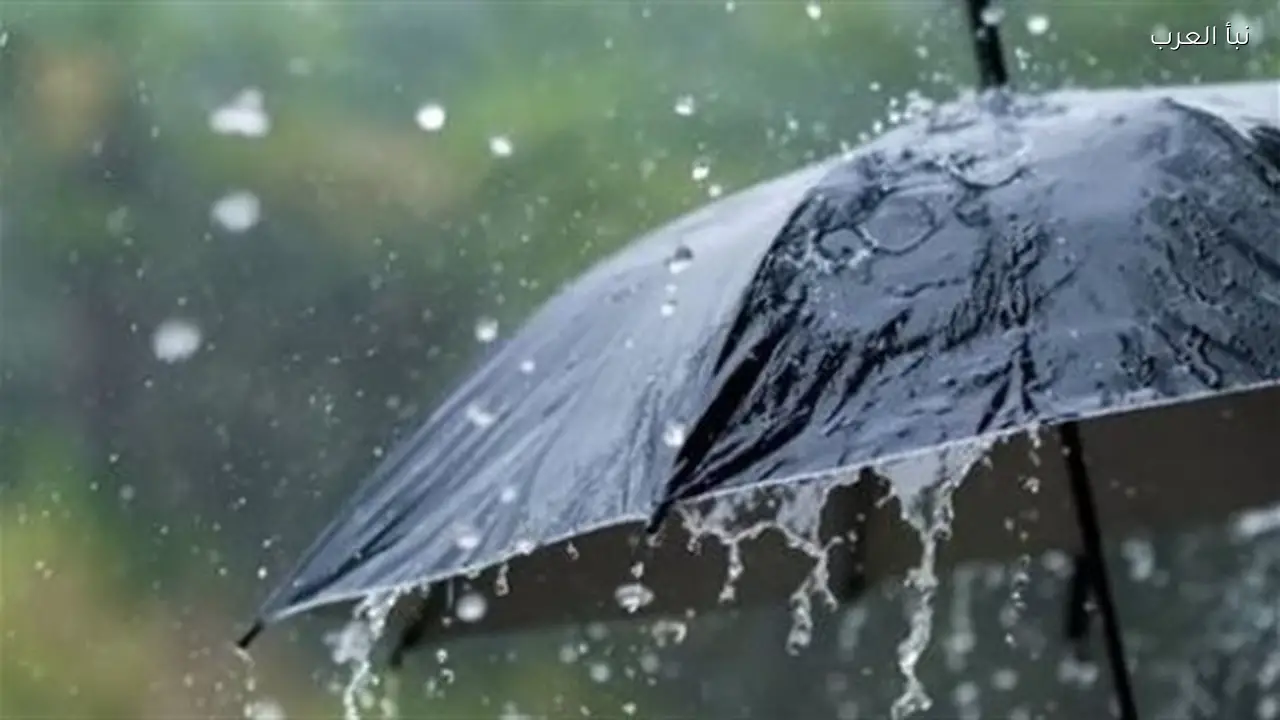 الأرصاد تعلن موعد ذروة الشبورة وفرص الأمطار اليوم الخميس 5 مارس