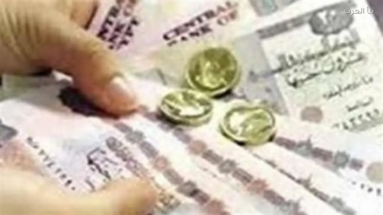 الاستعلام عن معاش أبريل 2026 بالرقم القومي عبر موقع الهيئة اليوم