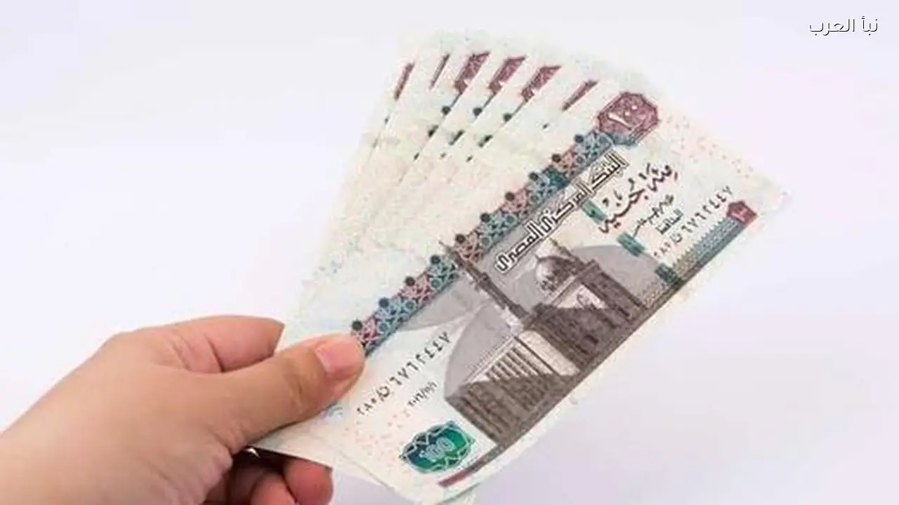 منحة رمضان والعيد .. رابط الاستعلام عن منحة العمالة غير المنتظمة 2026 بالرقم القومي www manpower gov eg