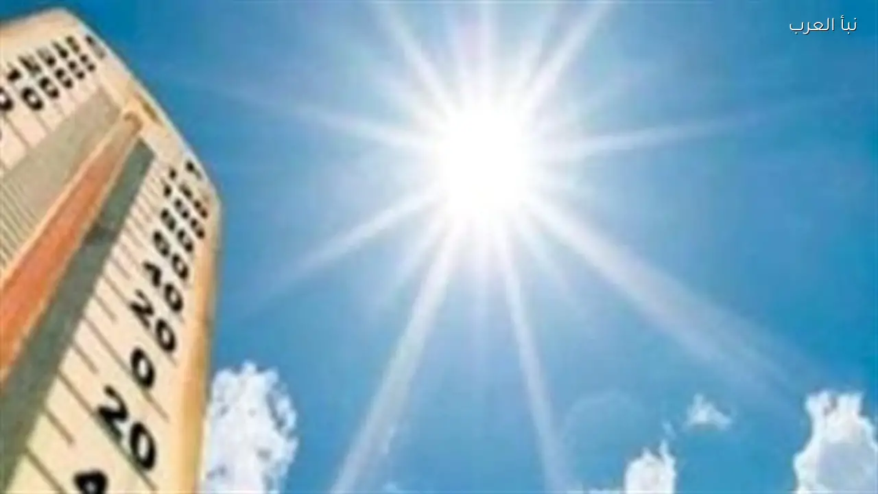 الحالة الجوية اليوم الأحد 1 مارس من القاهرة إلى أسوان