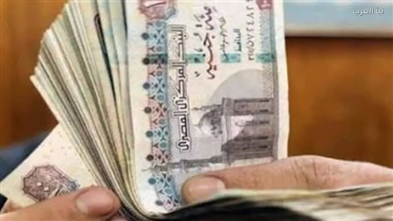 الحكومة تعلن موعد زيادة مرتبات العاملين بالدولة اليوم