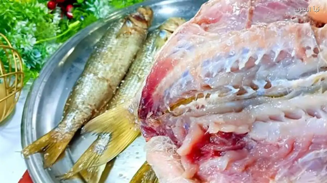 الرنجة المستوردة والمحلية: فروق الأسعار والجودة في سلاسل التجزئة الكبرى