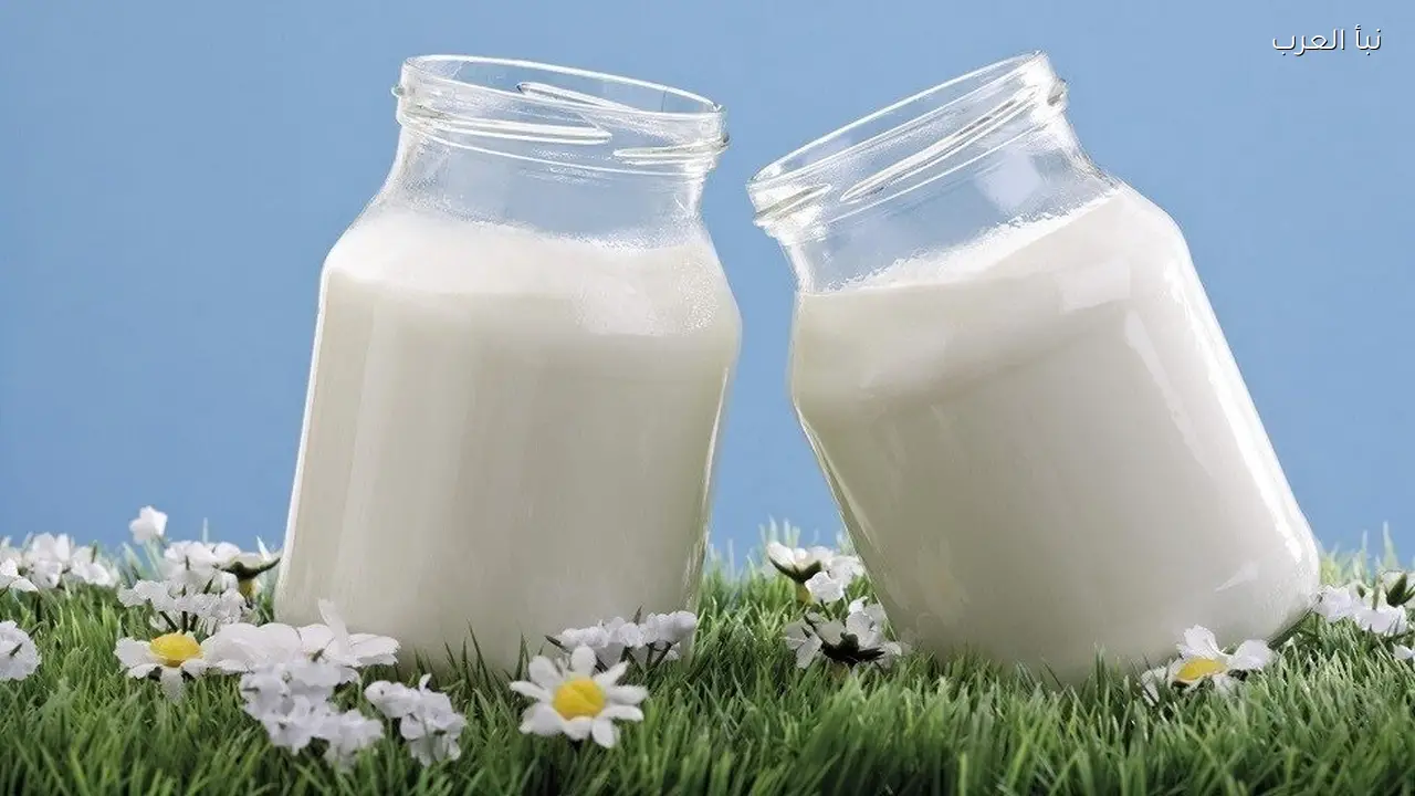 الزبادي المخمر يثبت فوائد أكبر لصحة العظام مقارنة بمنتجات الألبان الأخرى