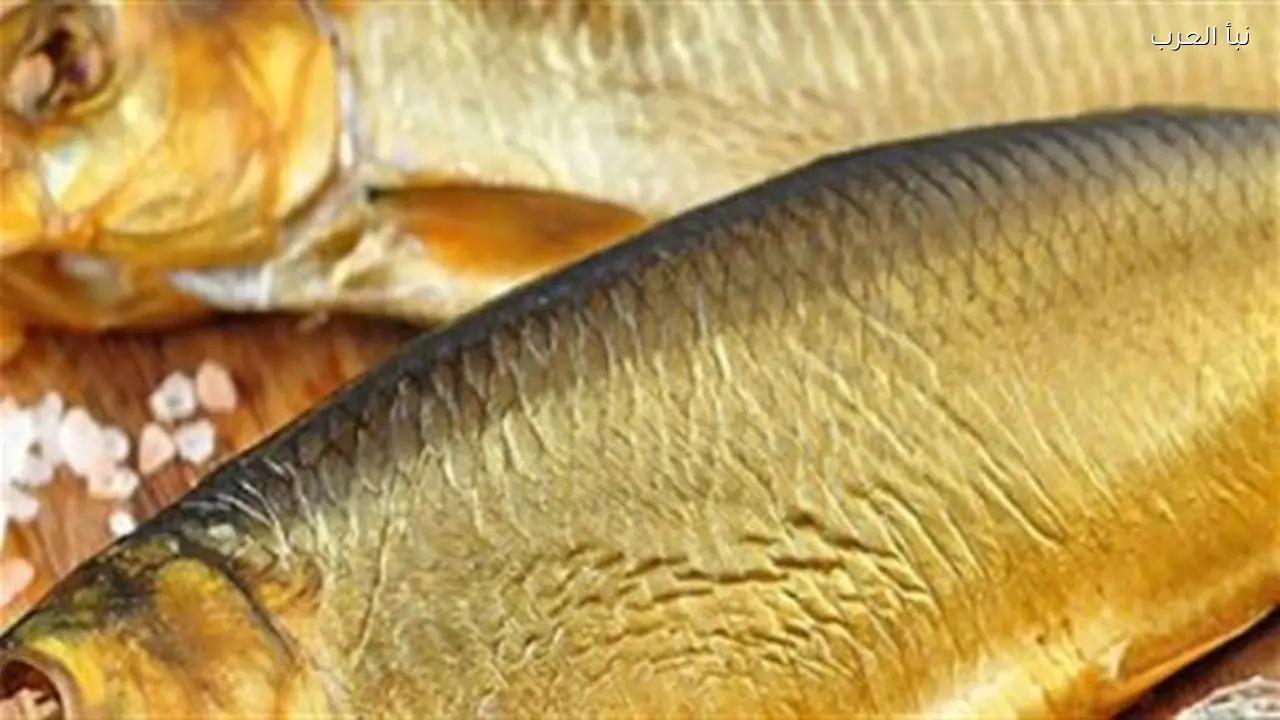 الفسيخ في الميزان الطبي: مخاطر الإصابة بالشلل التنفسي والعادات الغذائية