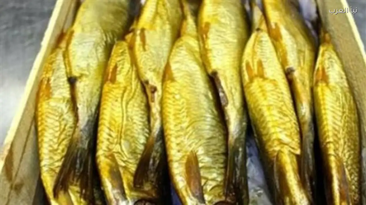 الفسيخ يسجل 600 جنيه اليوم في جولة بأسعار الأسماك المملحة بالمحافظات