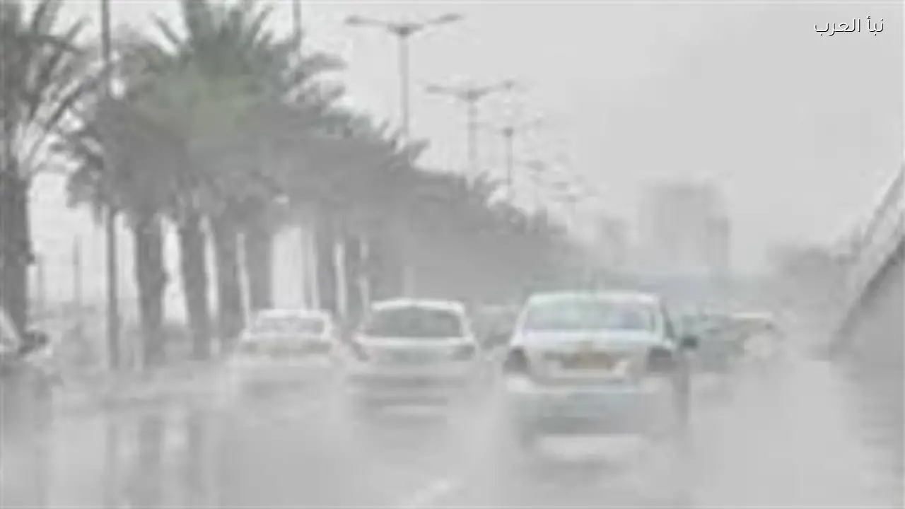 الهيئة العامة للأرصاد تحذر من طقس بارد صباحًا ودافئ نهارًا مع احتمال أمطار