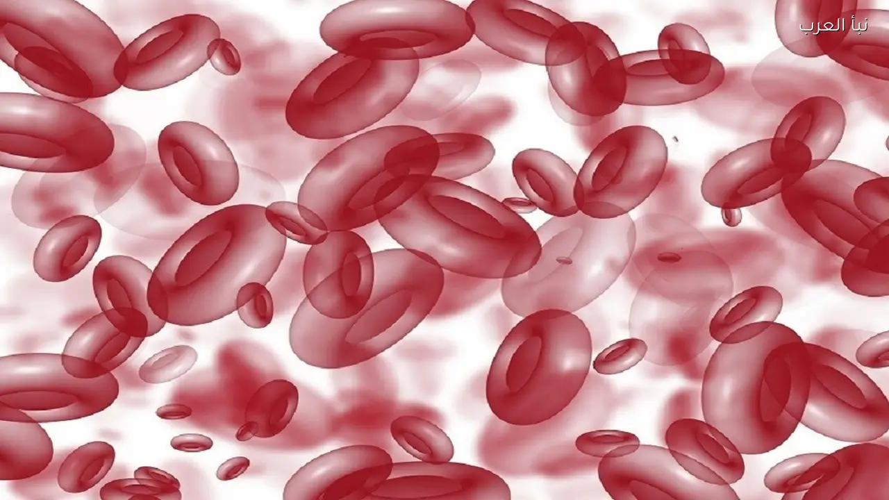 باحثون يرصدون تأثير تغيّر المناخ على صحة الدم البشر اليوم