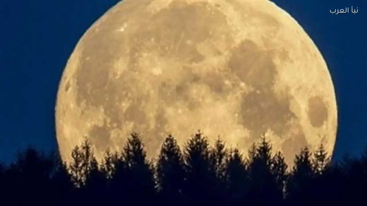 بدر الخزامى يستعرض رحلته الفنية في سماء مصر والوطن العربي