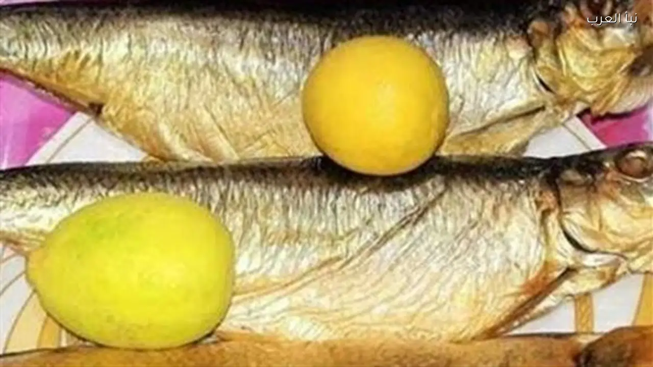 تباين أسعار الأسماك المملحة في الأسواق المصرية خلال موسم العيد