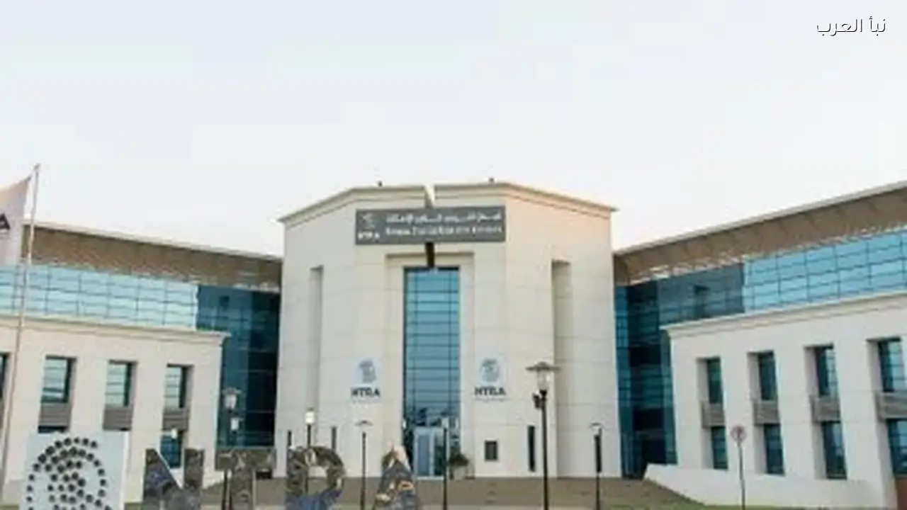 تحديث تراخيص السيارات الذكية يؤثر على تجربة القيادة في مصر