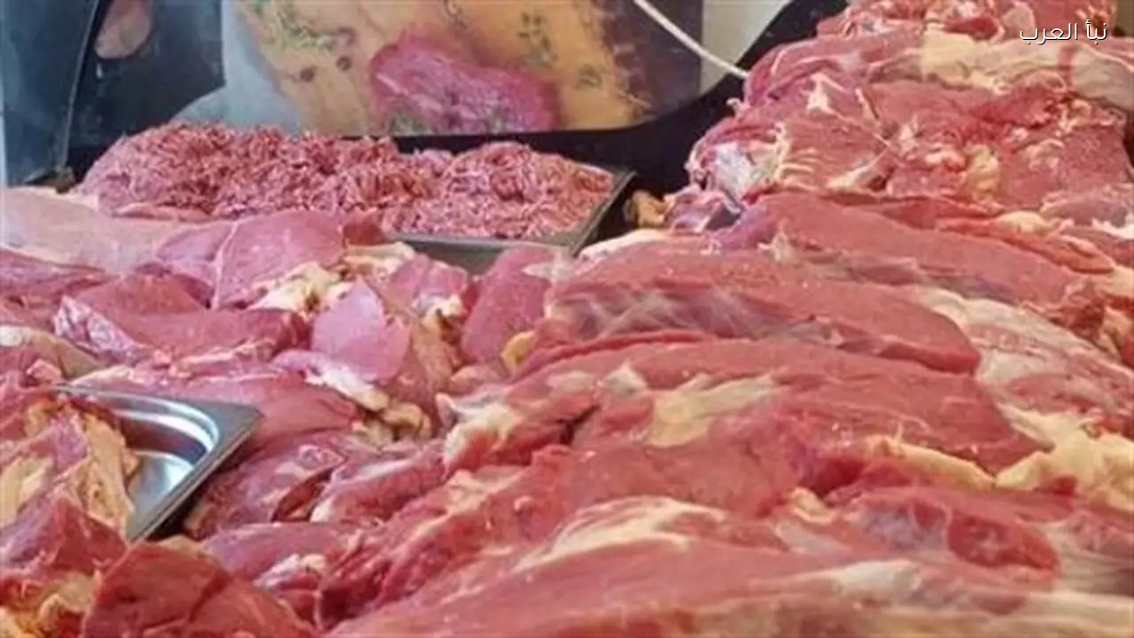 تطورات سوق اللحوم 2026 تشير إلى احتمال انخفاض الأسعار قبل رمضان