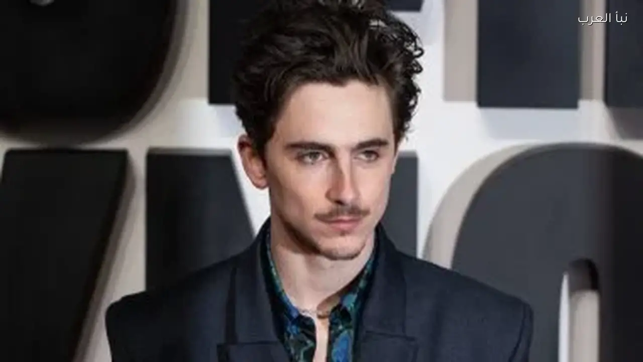 تيموثي شالاميت يثير الجدل بتصريحات سلبية عن هوليوود