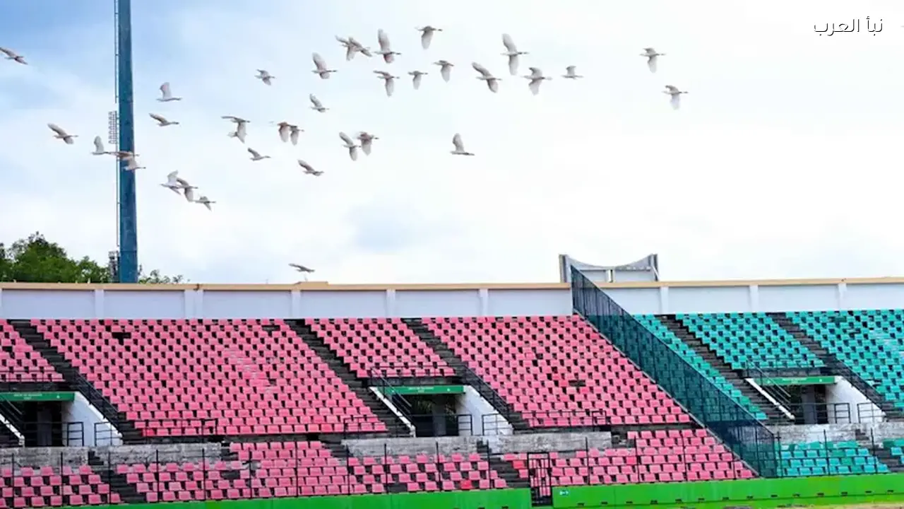 حالة الطقس اليوم خلال مباراة الزمالك وأوتوهو تشير لعواصف رعدية