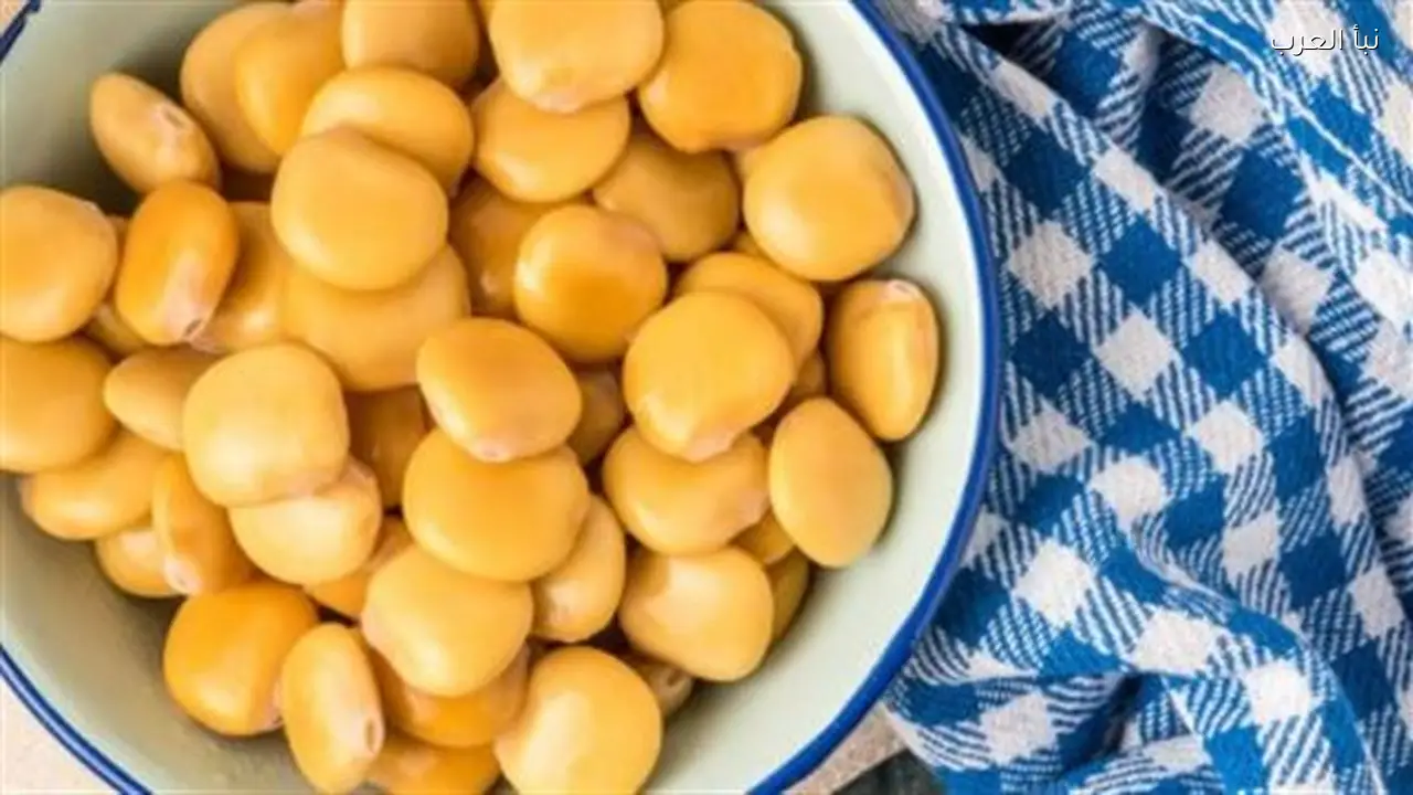 حقائق مدهشة عن البريبايوتيك في الترمس وتأثيره على صحة الأمعاء والمناعة