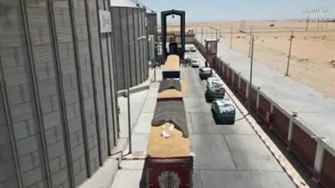 خطة الحكومة لاستغلال أصول مطاحن الإسكندرية وتحصيل 28 مليون جنيه