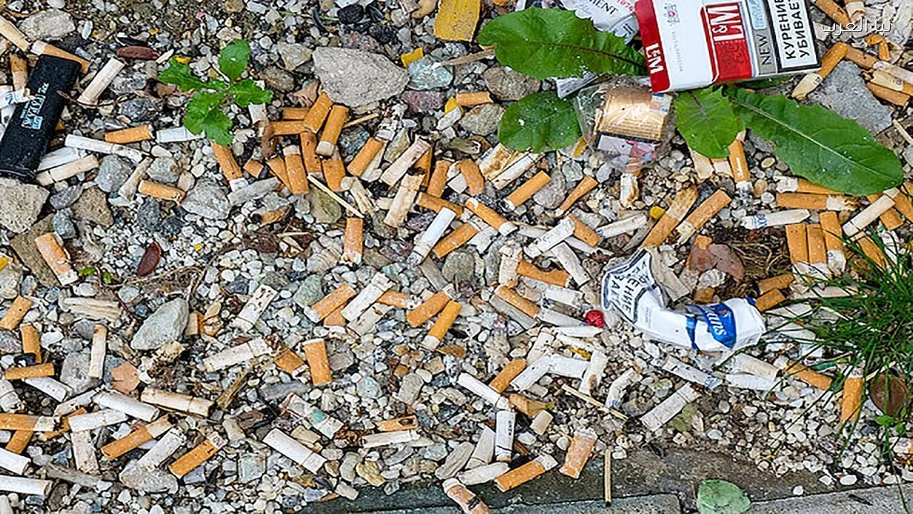 دراسة: أعقاب السجائر تتحول إلى ميكروبلاستيك وتظل سامة لعقد كامل