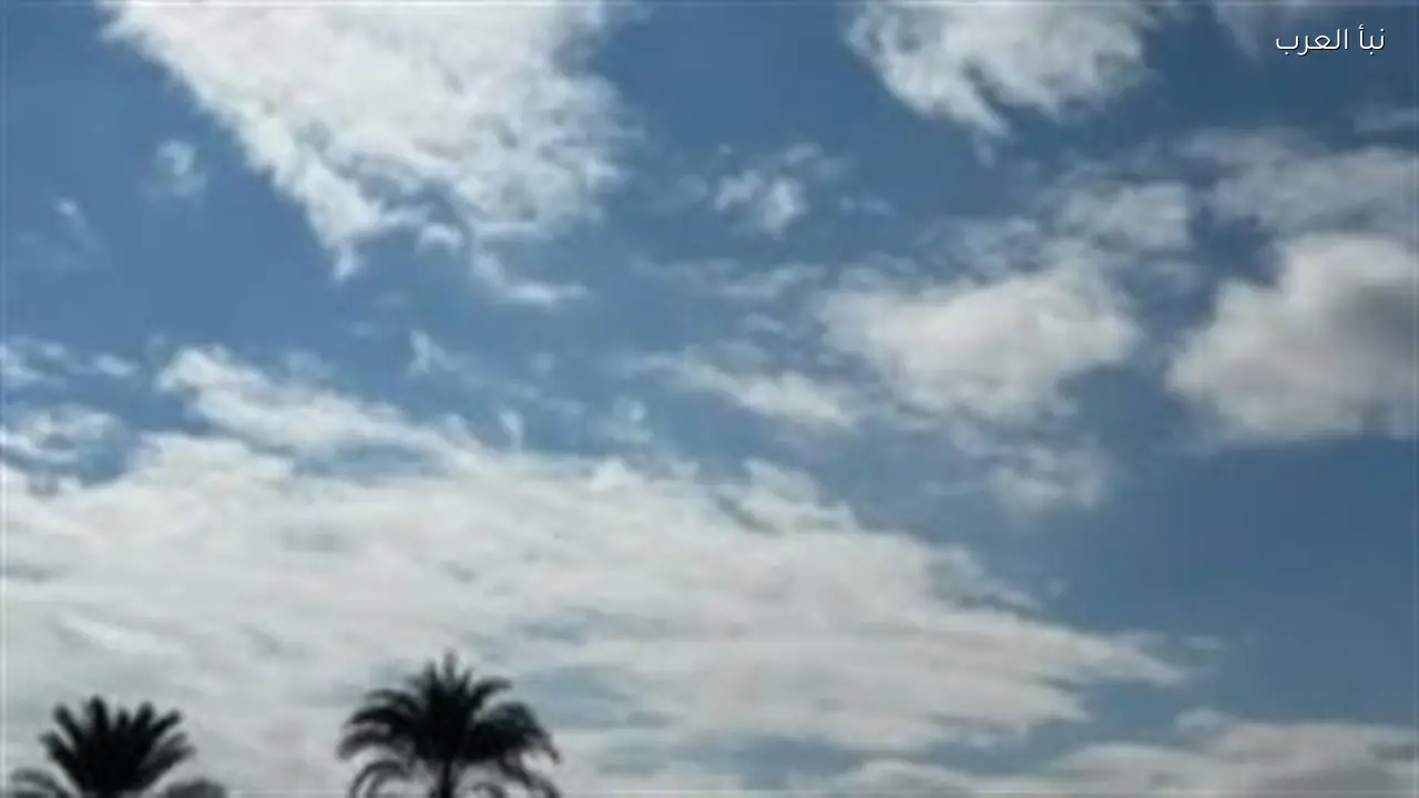 دليل المسافرين: تحذيرات من كثافة الشبورة على طرق شمال البلاد ومدن القناة اليوم