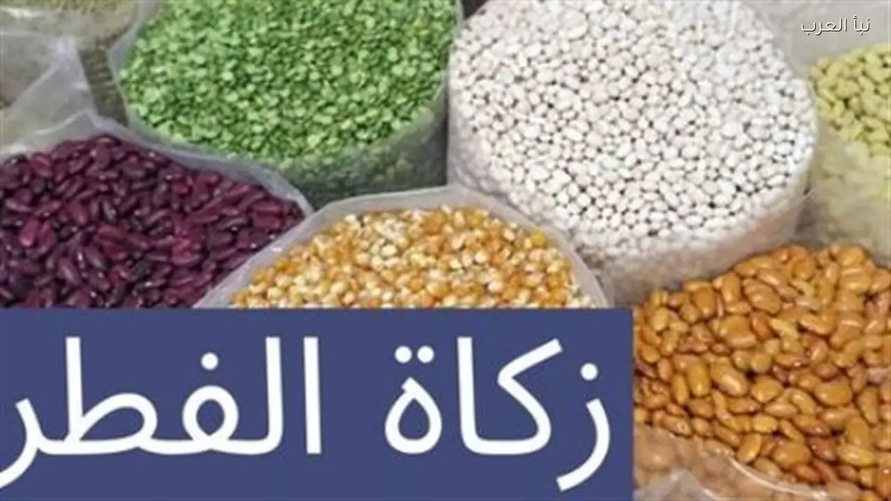 زكاة الفطر 2026 توضح الفرق بين الفقير والمسكين وضوابط الإخراج عن الجنين والميت