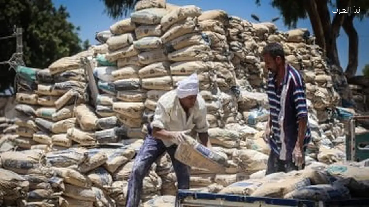 سعر الأسمنت اليوم الثلاثاء 3 مارس 2026.. الطن يسجل كذا في السوق