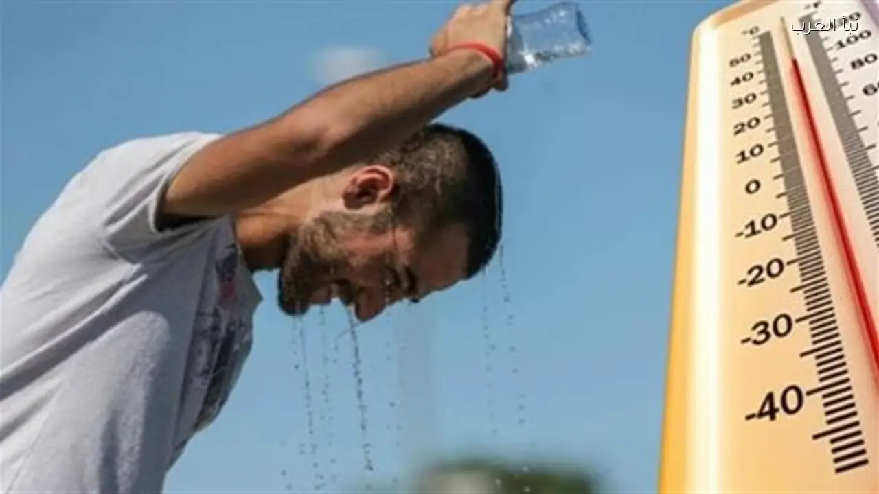 طقس الإسكندرية اليوم: أجواء دافئة ونشاط للرياح على السواحل