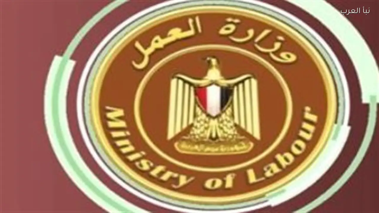 قائمة الوظائف المطلوبة في النشرة الحكومية للتوظيف لعام 2026