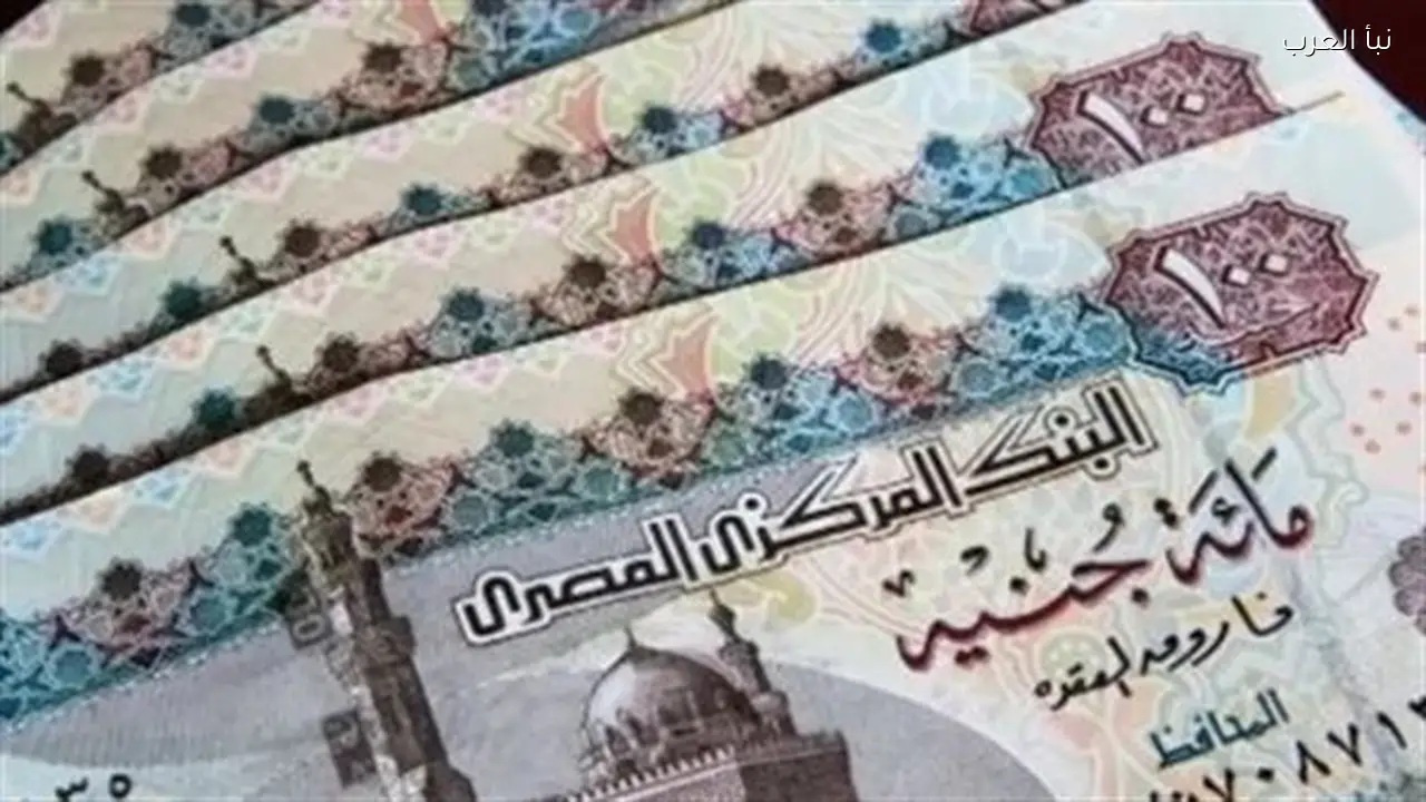 كيفية التعرف على الأسماء المقبولة في البرنامج والتحقق من الاستمرار