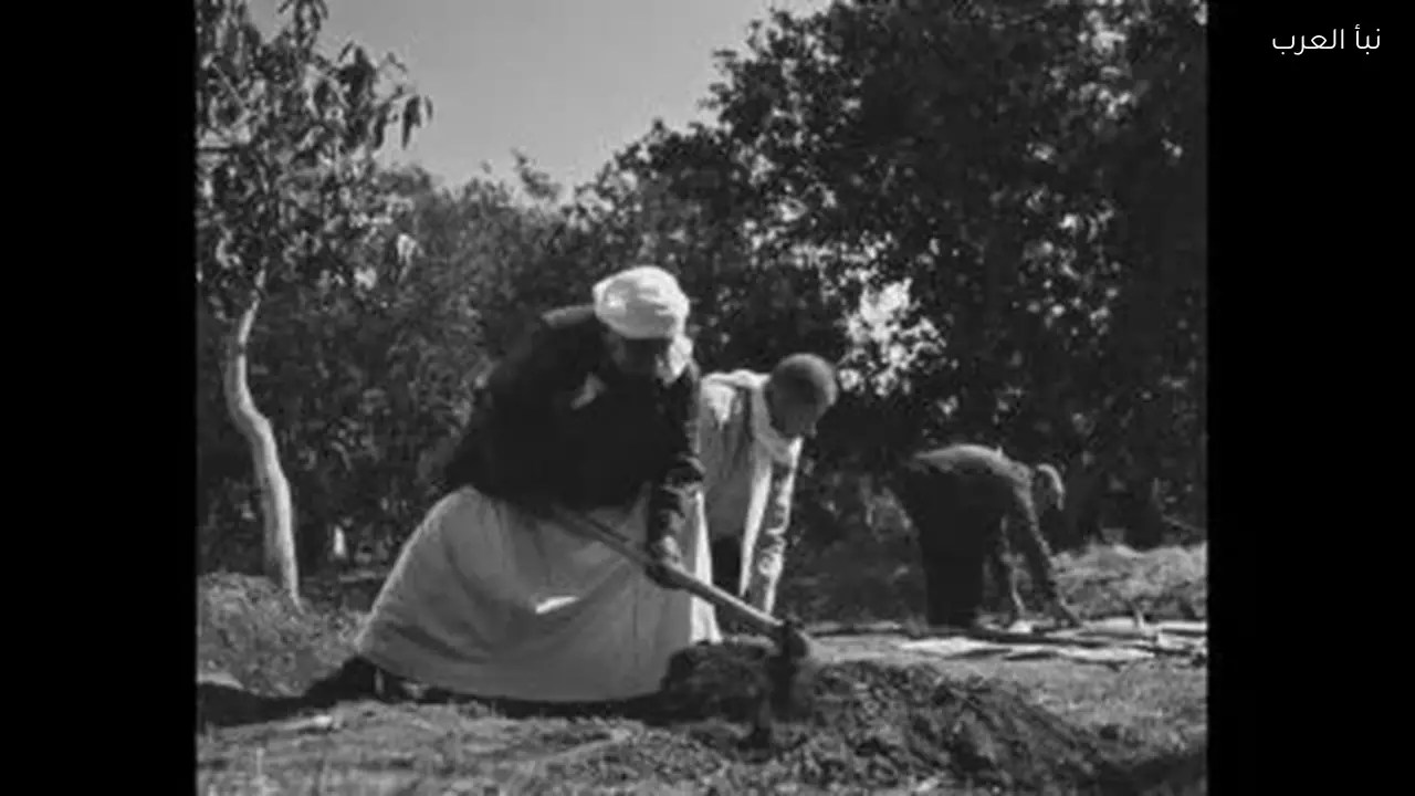 محمود عزت يروي لهارون تاريخ إخفاء سلاح الإخوان في رأس الأفعى الحلقة 22