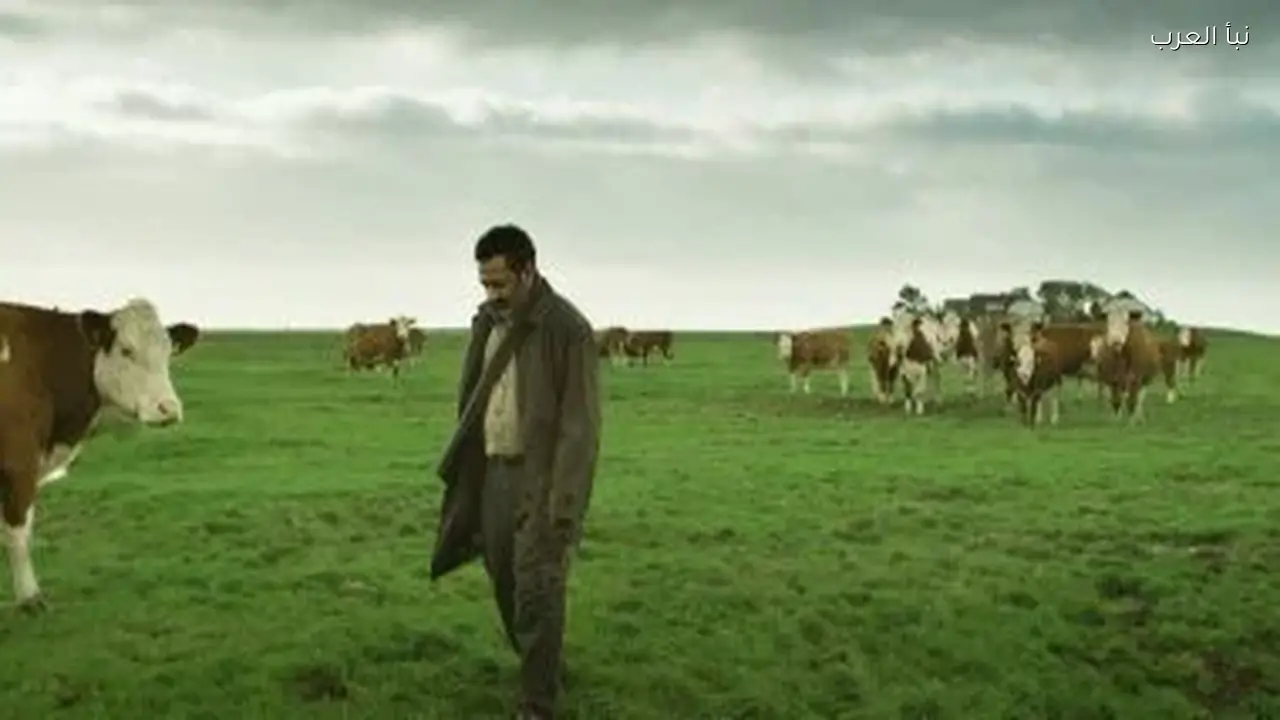 مهرجان مالمو للسينما العربية يعلن عن أفلام المسابقات في دورته السادسة عشرة