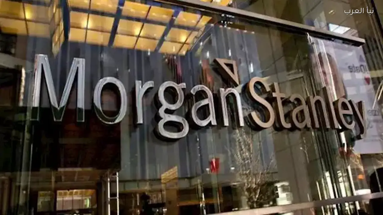 مورجان ستانلي: ارتفاع واردات مصر من الطاقة إلى 2.4 مليار دولار في 2026
