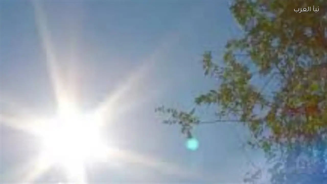 هيئة الأرصاد الجوية المصرية تعلن خريطة سقوط الأمطار والشبورة الكثيفة