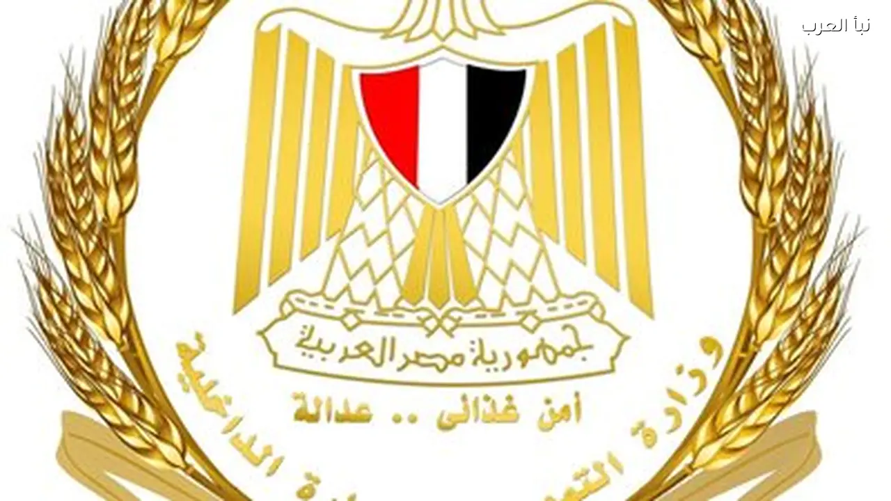 وزارة التموين: سعر رغيف الخبز البلدي ثابت عند 20 قرشًا رغم زيادة الوقود