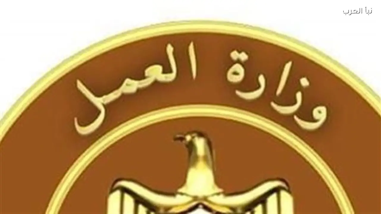 وزارة العمل تعلن اليوم شروط التقديم لوظائف أسوان الكبرى براتب 18000 جنيه