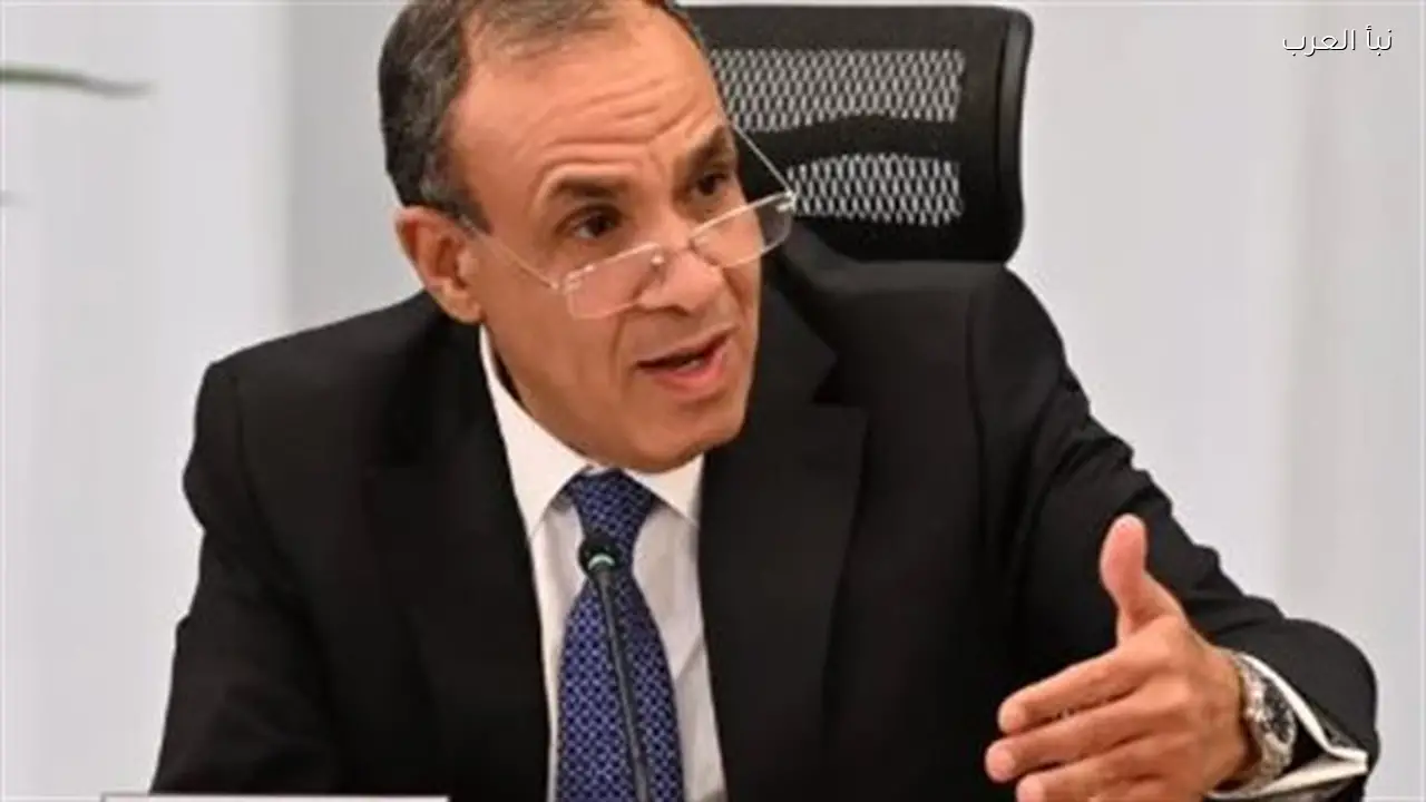 وزير الخارجية المصري يبحث مستجدات الوضع الإقليمي مع نظيرته الأيرلندية
